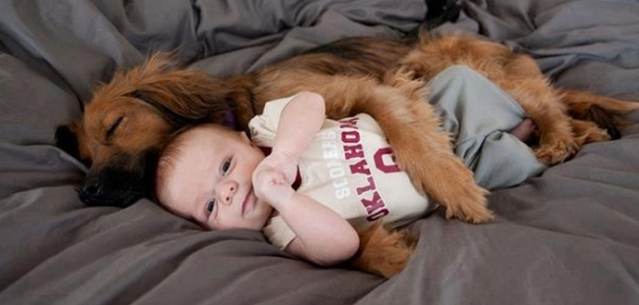Dog snuggling a baby: Why Dogs Are the Best Pets for You?