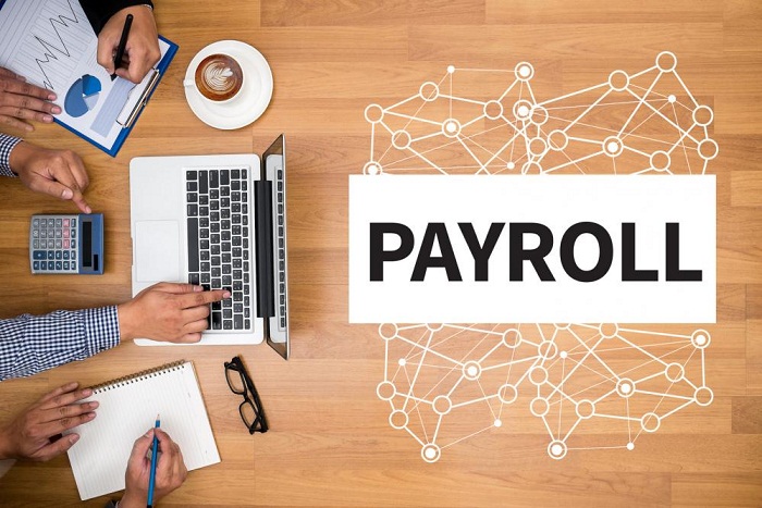 Why Businesses Who Use HR & Payroll Software Outperform Their  Competition?
