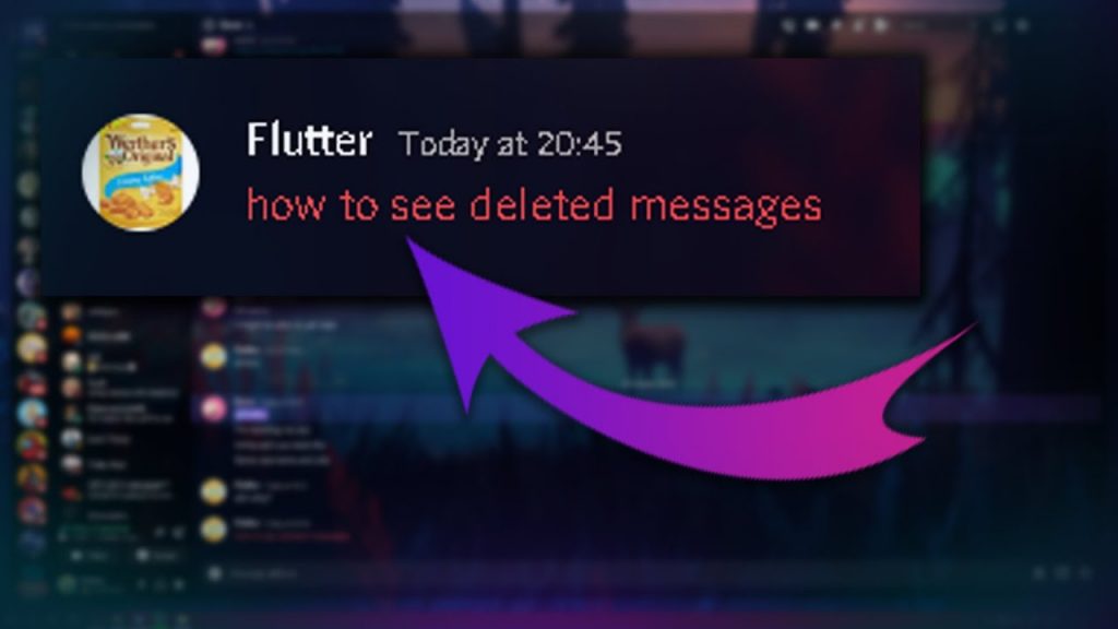 How To See Deleted Messages On Discord | Report Deleted Messages