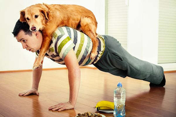 dog-exercise