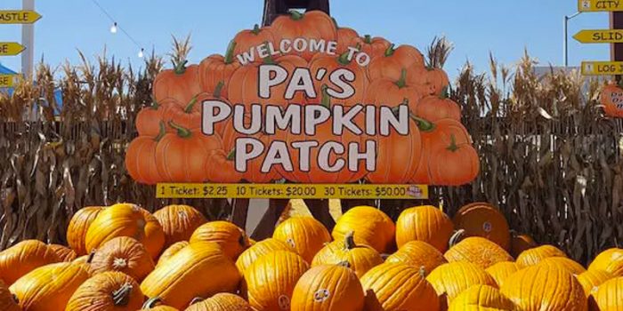 7 Best Pumpkin Patches In LA; Enjoy Halloween To The Fullest
