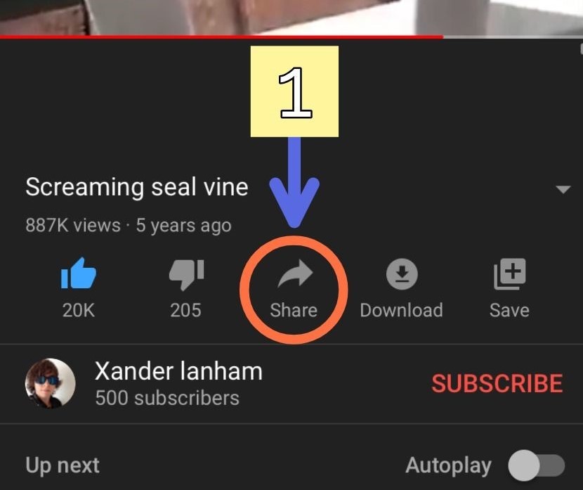 share icon on youtube: how to post youtube video on tiktok