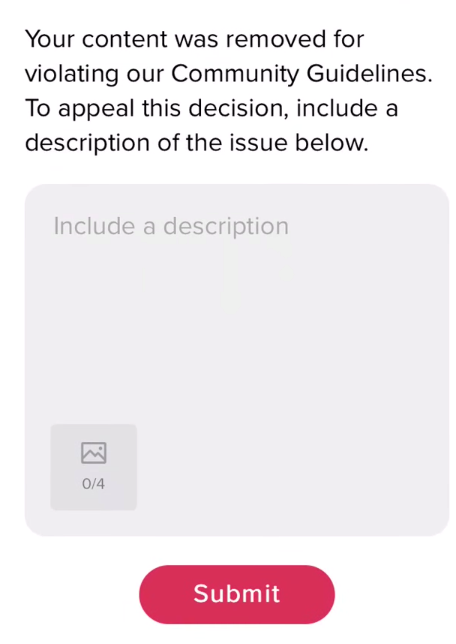 appeal submitted icon on TikTok: how to recover the banned TikTok account