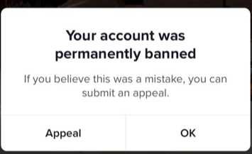 your account was permanently banned icon: how to get unbanned from tiktok