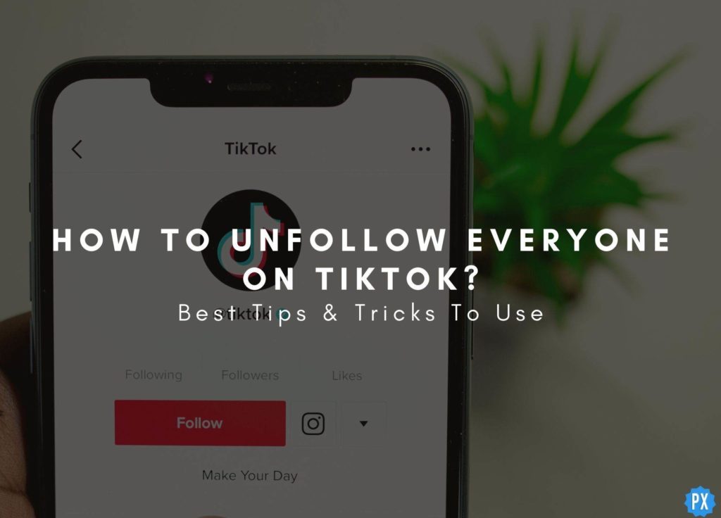 How To Unfollow Everyone On TikTok? Best Tips & Tricks To Use