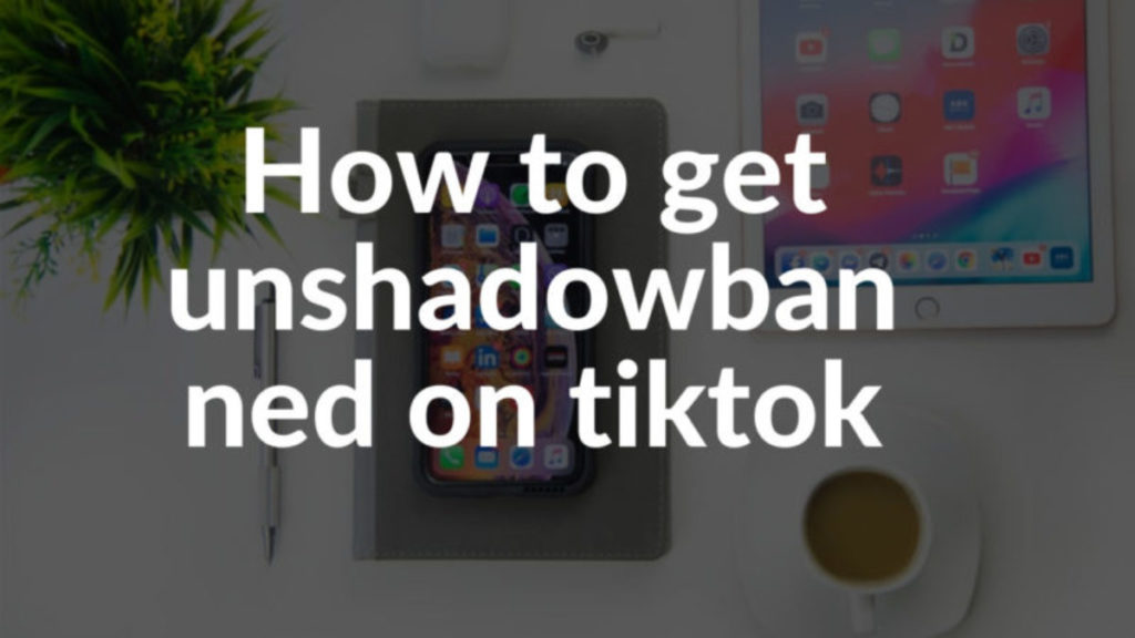 unshadowbanned on TikTok logo: how to know if you are shadowbanned on TikTok