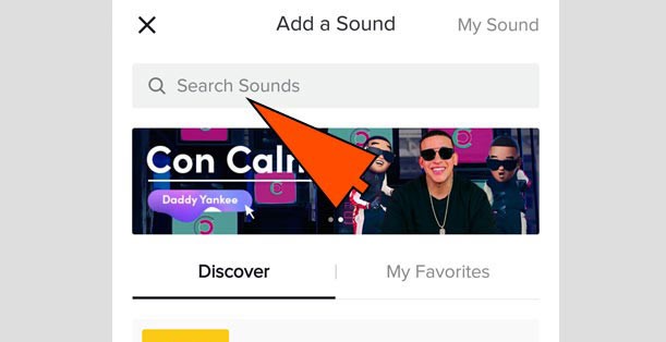 search icon on tiktok image: how to save sounds on tiktok