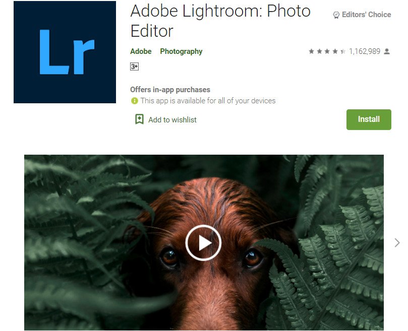 Adobe Lightroom; 8 Best Editor's Choice Apps in 2022 | Essential Apps For All