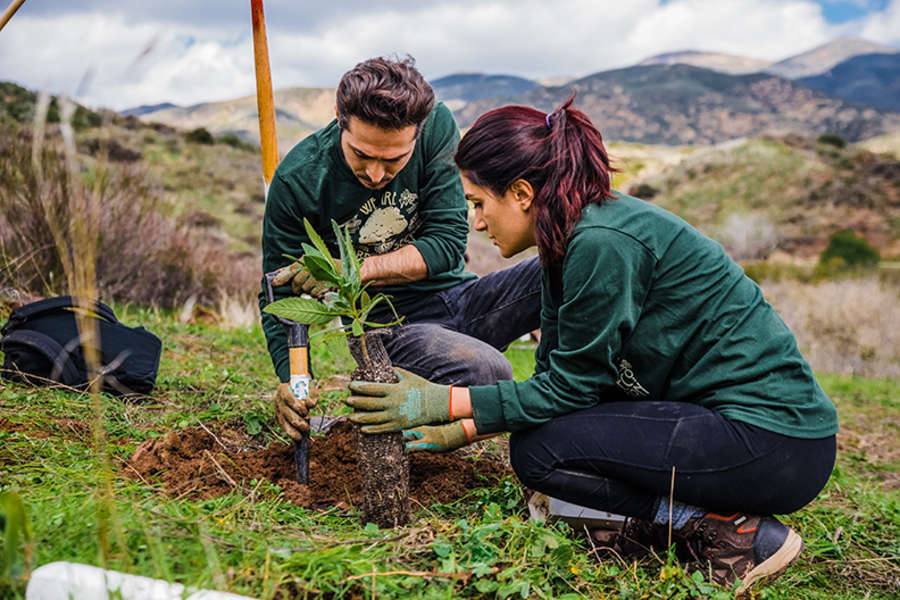 Couple planting trees; Fun Valentine's Day Date Ideas in 2022 for Couples Mad In Love