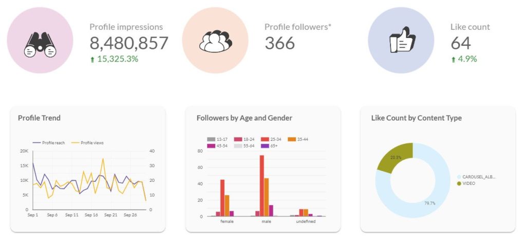use Instagram insights to grow your business in a strategic way: helps to understand promotion