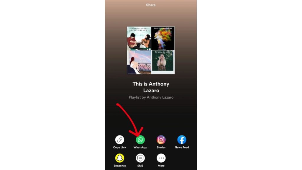 How to Share Spotify Playlist on WhatsApp?