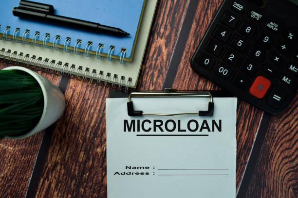 Microloans for Small Business Startups 