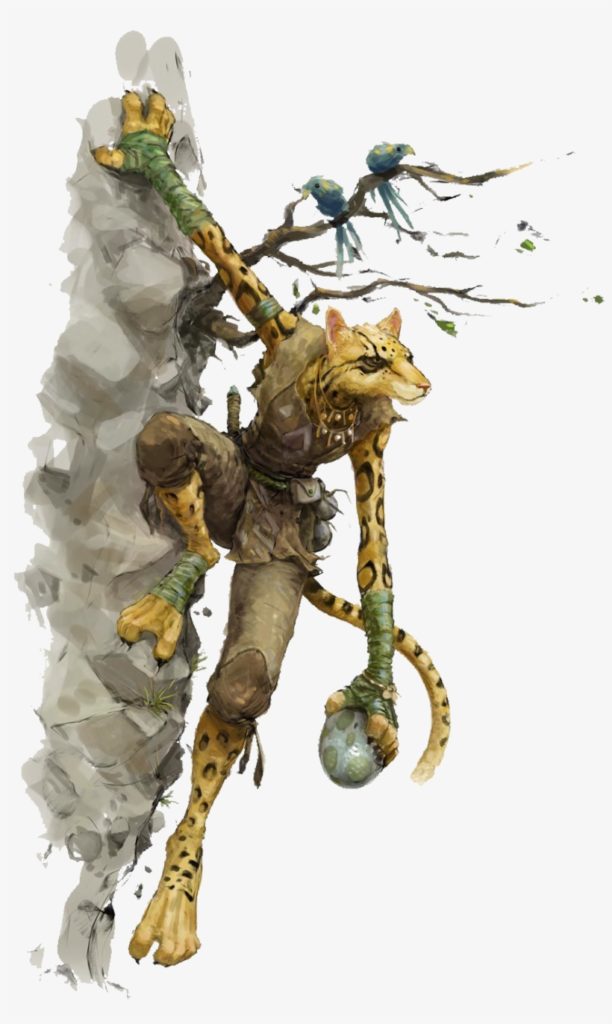 DnD: Tabaxi 5e Race Fascinating Facts For Selecting The Right Class