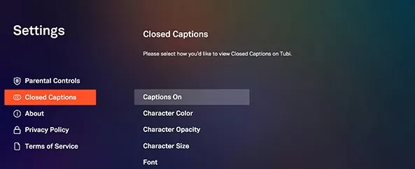 How to Use Closed Captions on Roku During Playback?