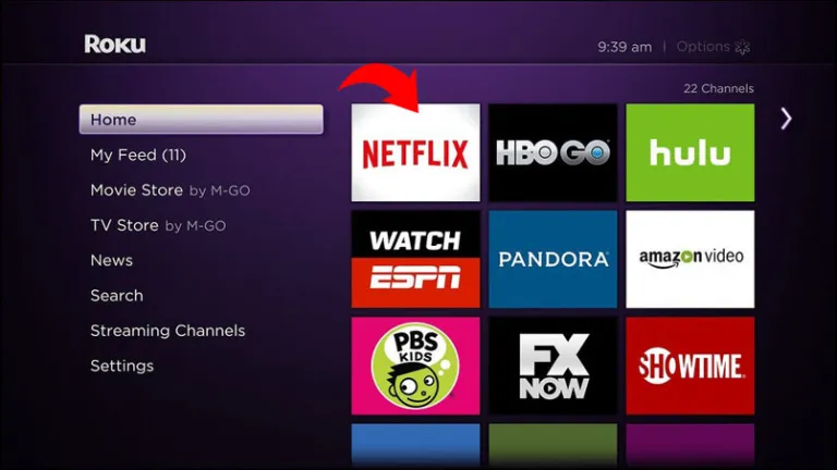 how to log out of Netflix on Roku