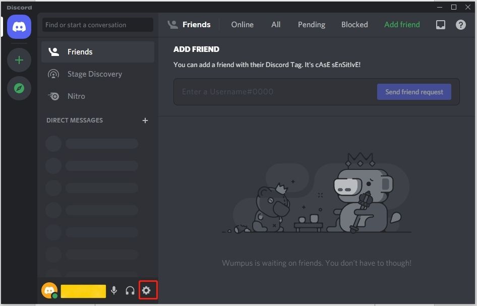 Invisible Discord Name and Avatar