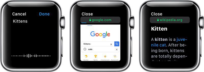 How to Browse the Internet on Apple Watch Using Google