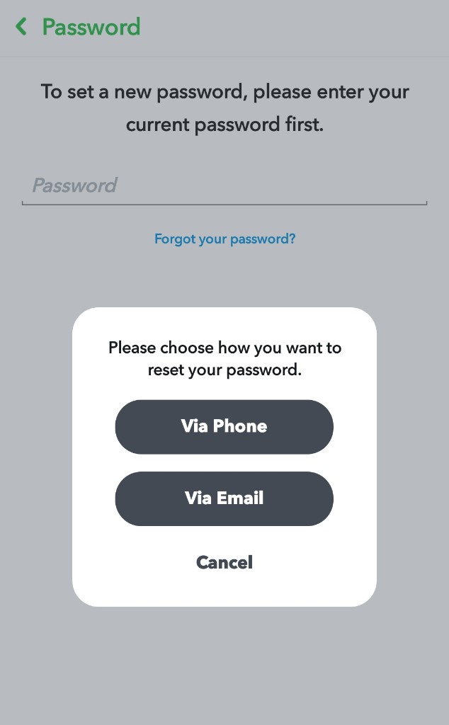 How to Change Your Snapchat Password or Reset it | 3 Best Ways