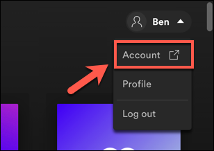 spotify web screenshot; how to fix spotify no internet connection