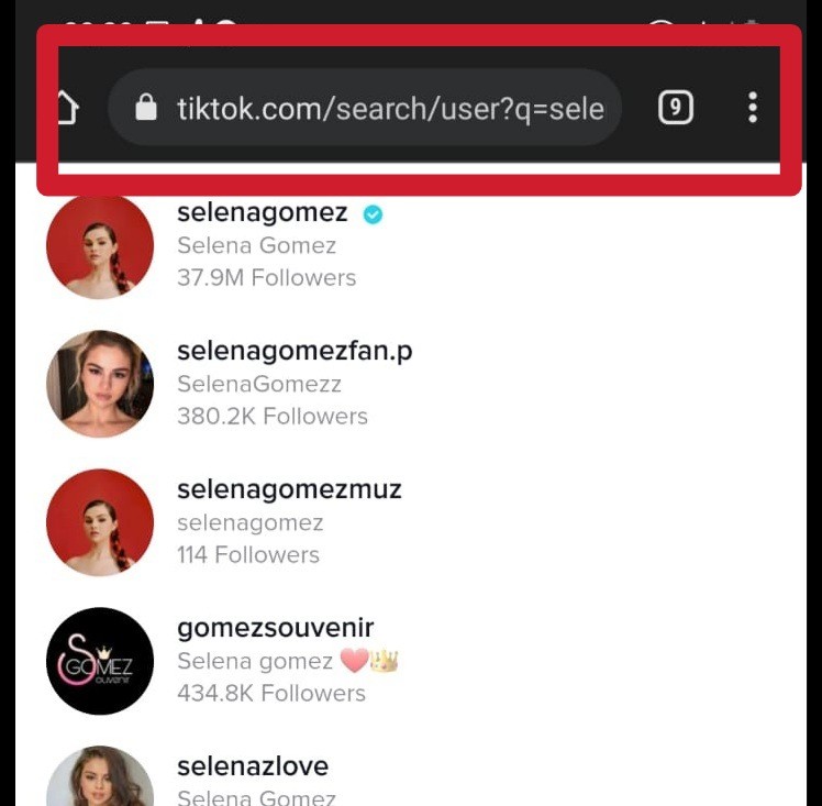Selena Gomes; How to use TikTok without an account