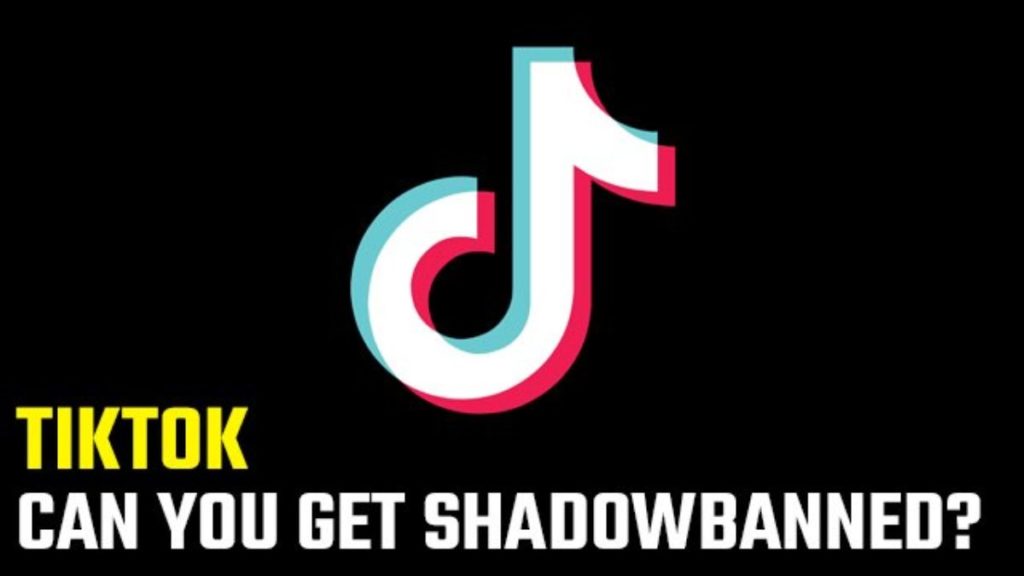 can you get shadowbanned text; causes of a  tIktok shadowban