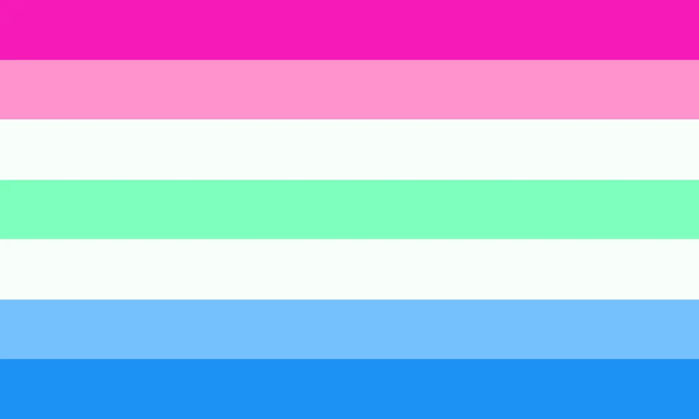 different LGBTQ flags and their meaning