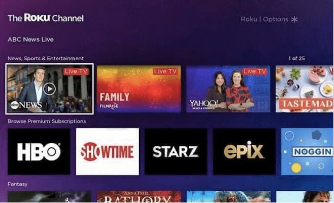 Does Roku have a Web Browser 