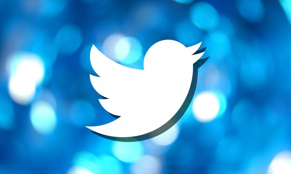 Twitter logo; How to change Twitter display name