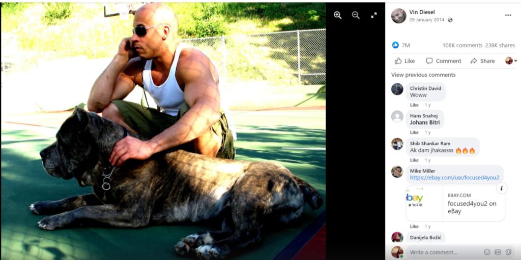 Vin diesel with his dog ; most facebook post