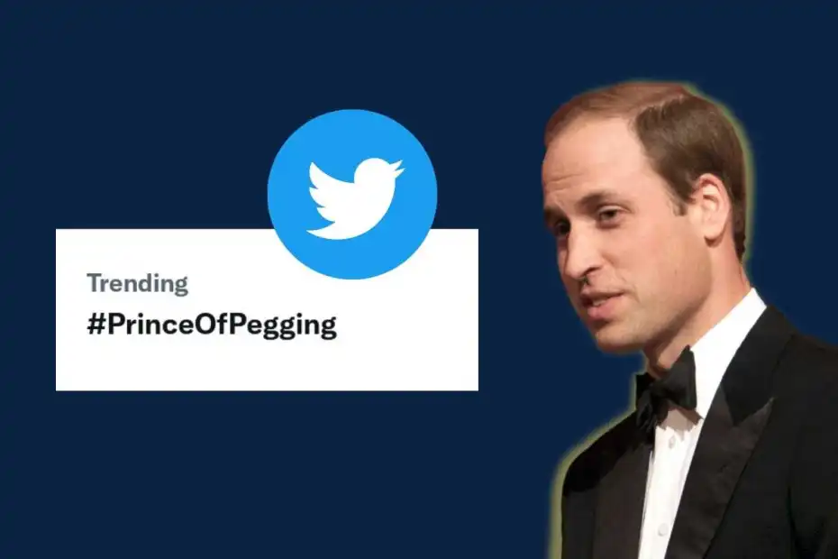 What is Prince of Pegging on Twitter?
