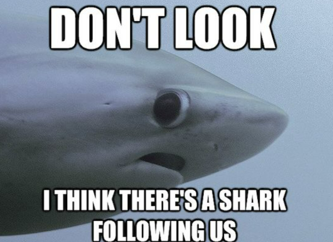 25+ Funniest Shark Week Memes To Brighten Your Day | These Memes Had Us ROFL!
