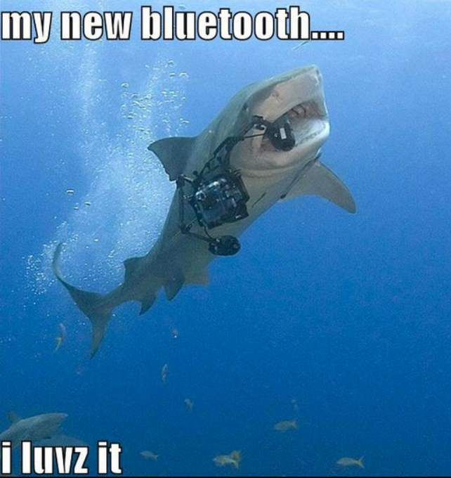 Shark Week Memes