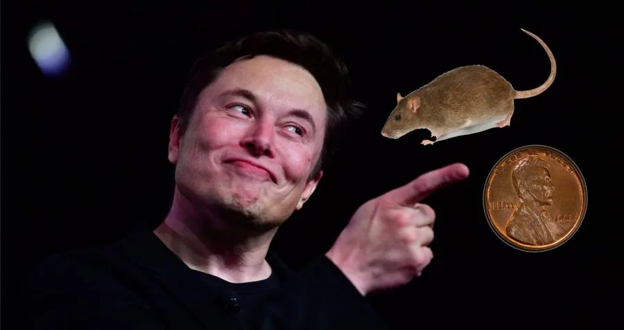 Here's the Truth Behind Ratcoin Elon Musk | Where to Buy Ratcoin in 2022