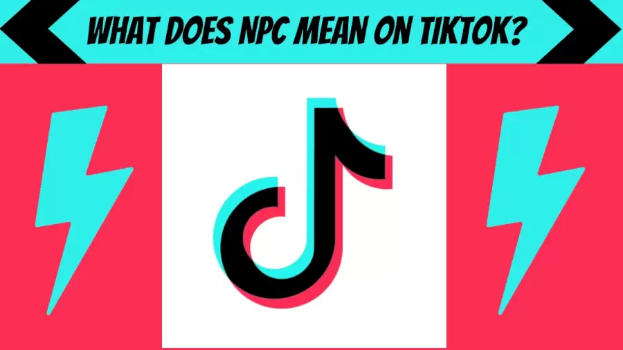 What Does NPC Means On TikTok?