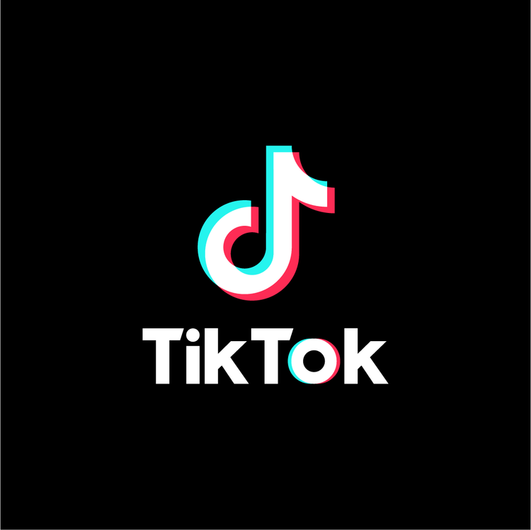 TikTok; How to Fix Profile View Not Showing on TikTok
