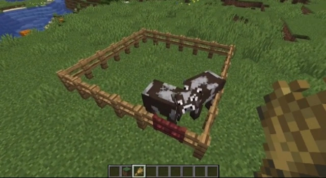 Make A Cow Farm In Minecraft