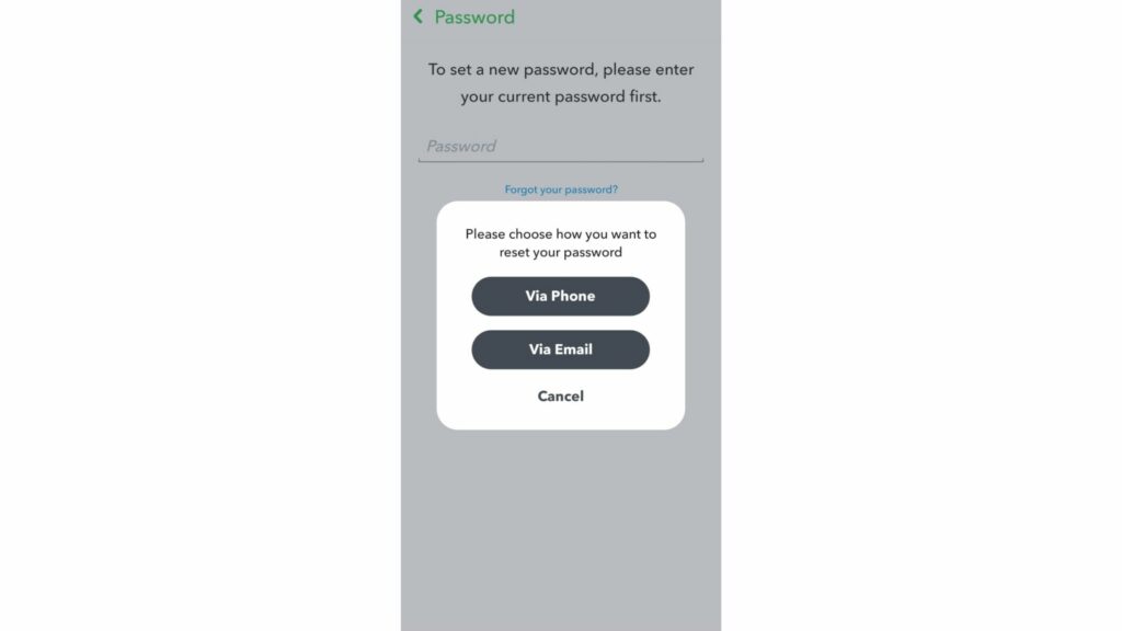 reset your snapchat password