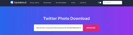tipsabout - 8 Best Twitter Image Downloaders | Now Save Your Twitter Images