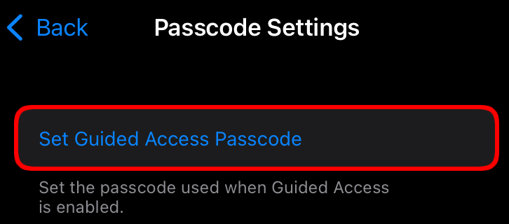 How to Add Passwords to iPhone and iPad Apps Using Screen Time & More