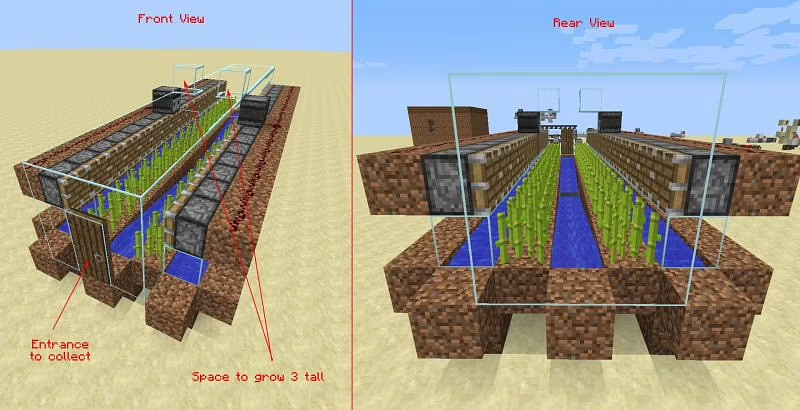 How To Make A Sugar Cane Farm In Minecraft | Step By Step Guide