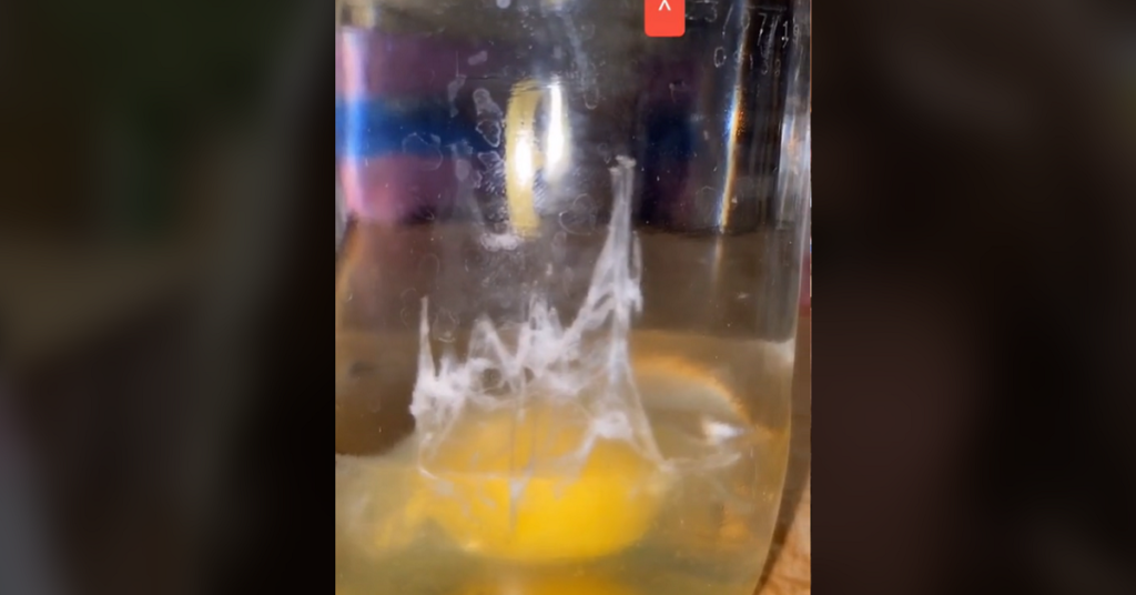 Egg Cleanse Trend on TikTok