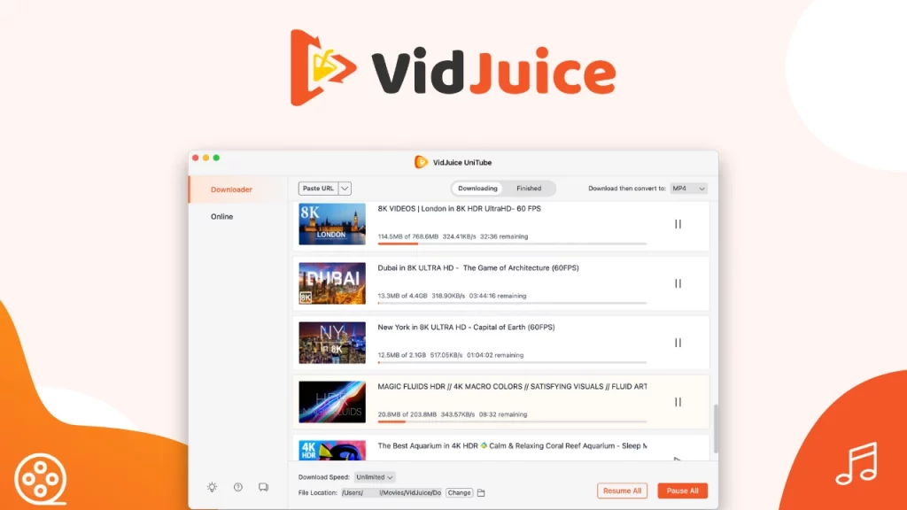 VidJuice - best Instagram reels downloader