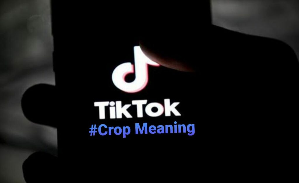 What does crop mean on TikTok | Get to Know The Real Lingo!