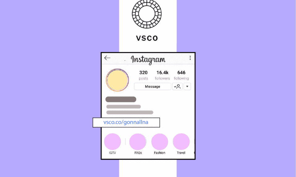 How To Put Your VSCO In Your Bio [Update 2022]