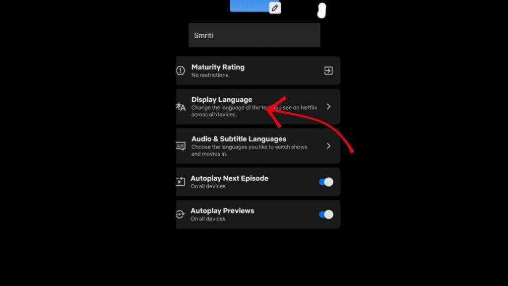 How to Change Language on Netflix for Audio and Subtitles on Multiple Devices?