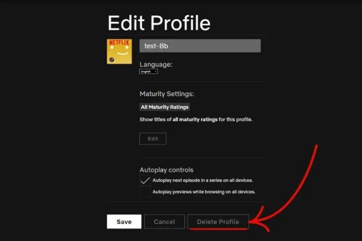 How to Delete a Profile from Netflix on Android & iOS in 2022?