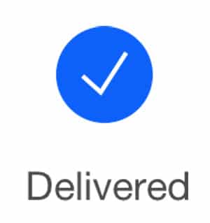 a filled icon with a checkmark in messenger refers to the message is delivered