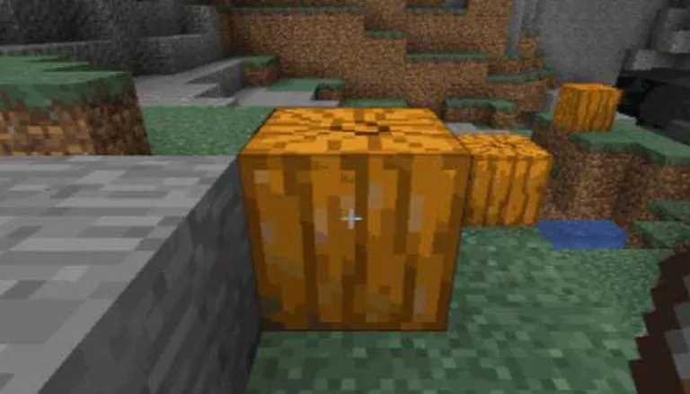How To Get Pumpkin Head In Minecraft |  5 Easy Steps
