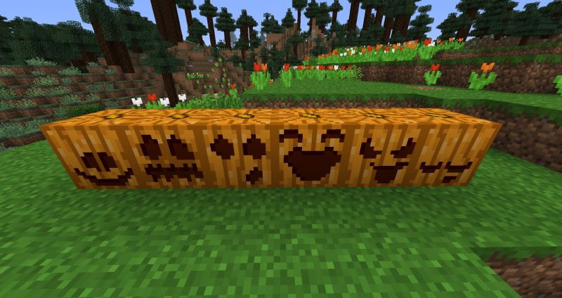 How To Get Pumpkin Head In Minecraft |  5 Easy Steps