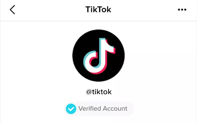 What Does the Blue Check Mean on TikTok 